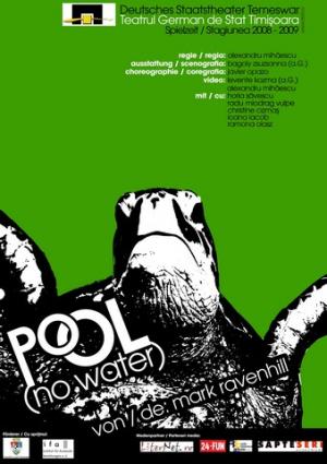 Pool. No water