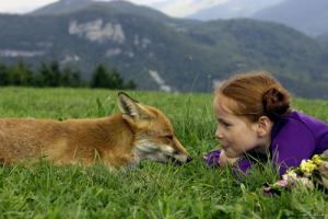 Renard et l'enfant, Le