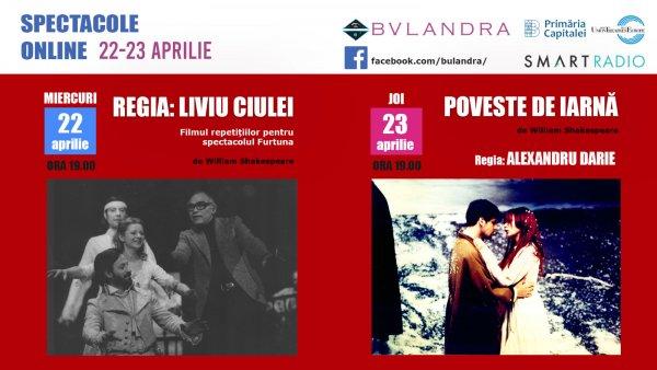 Articole diverse
