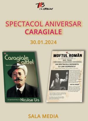 Articole diverse