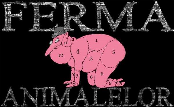 Ferma