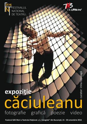 Festivalul Naţional de Teatru, 2016