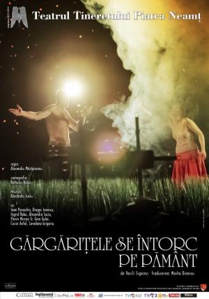 Gărgăriţele se întorc pe pământ