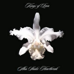 Kings of Leon - Aha Shake Heartbreak