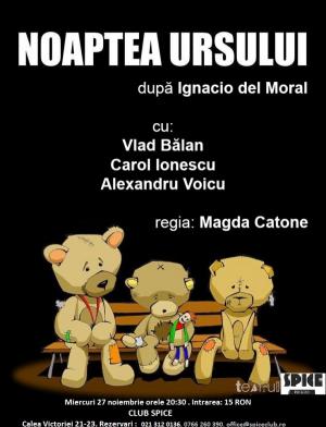 Noaptea ursului