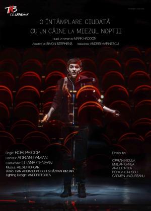 O întâmplare ciudată cu un câine la miezul nopţii