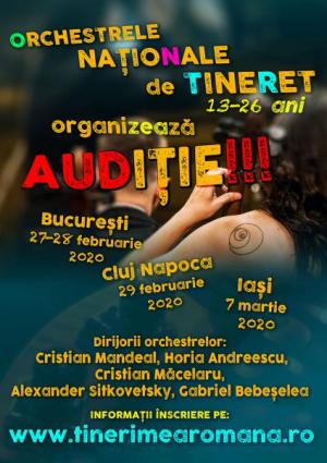 Articole diverse