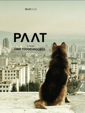 Paat / Câinele
