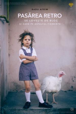 Retromadár blokknak csapódik és forró aszfaltra zuhan / Pasărea retro se loveşte de bloc şi cade pe asfaltul fierbinte