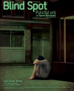 Punctul orb / Blind Spot