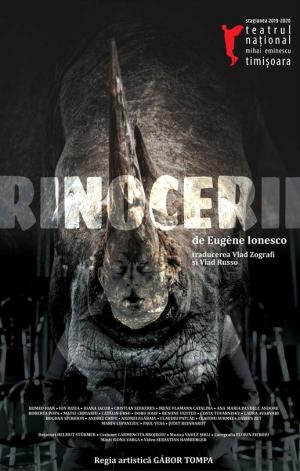 Rinocerii