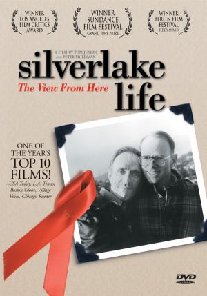 Silverlake Life: The View from Here