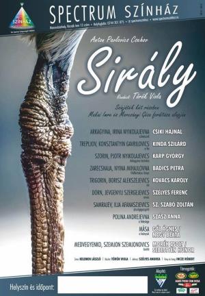Sirály / Pescăruşul