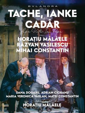 Articole diverse