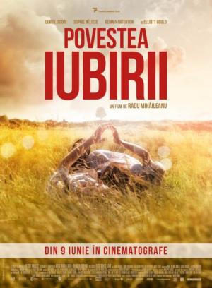 Festivalul TIFF 2017