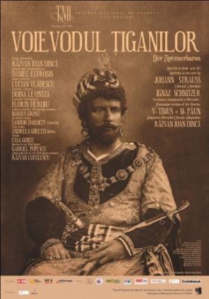 Voievodul ţiganilor
