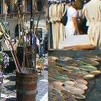 Edelina Stoian-Sterling: Rajastan