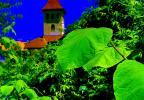 Gigi Căciuleanu: Câteodată frunzele / Parfois les feuilles / A veces las hojas