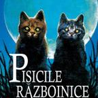 Sofia Trifu: Pisicile războinice Vol.2: Foc și gheață