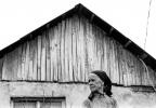 Tomi Borza: Cinci