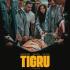 Monica Stoica: Thriller cu o tigresă de la Zoo și oamenii care se aseamănă cu ea - Tigru