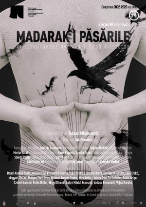 Madarak / Păsările