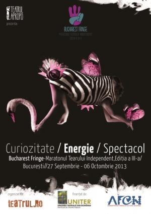 Bucharest Fringe - Maratonul Teatrului Independent, 2013