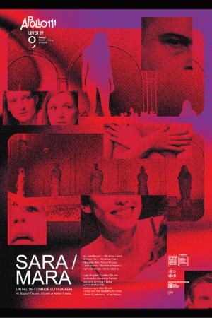 Sara/Mara - Un fel de comedie cu vlogeri