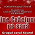 Comunicat de presă: Vine Crăciunu' pe sară - concert cu grupul coral SOUND