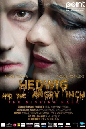 Hedwig and the Angry Inch: The Missing Half