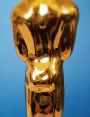 Premiile Oscar 2013
