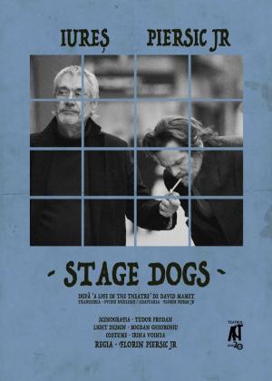 Stage Dogs