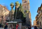Andreea Sepi: Sfârșit de februarie 2024 pe tărâm andaluz